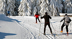 Langlauf Bayerischer Wald