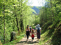 Wandern Bayerischer Wald