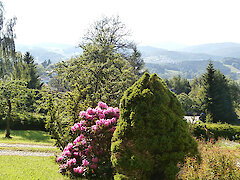 Bayerischer Wald